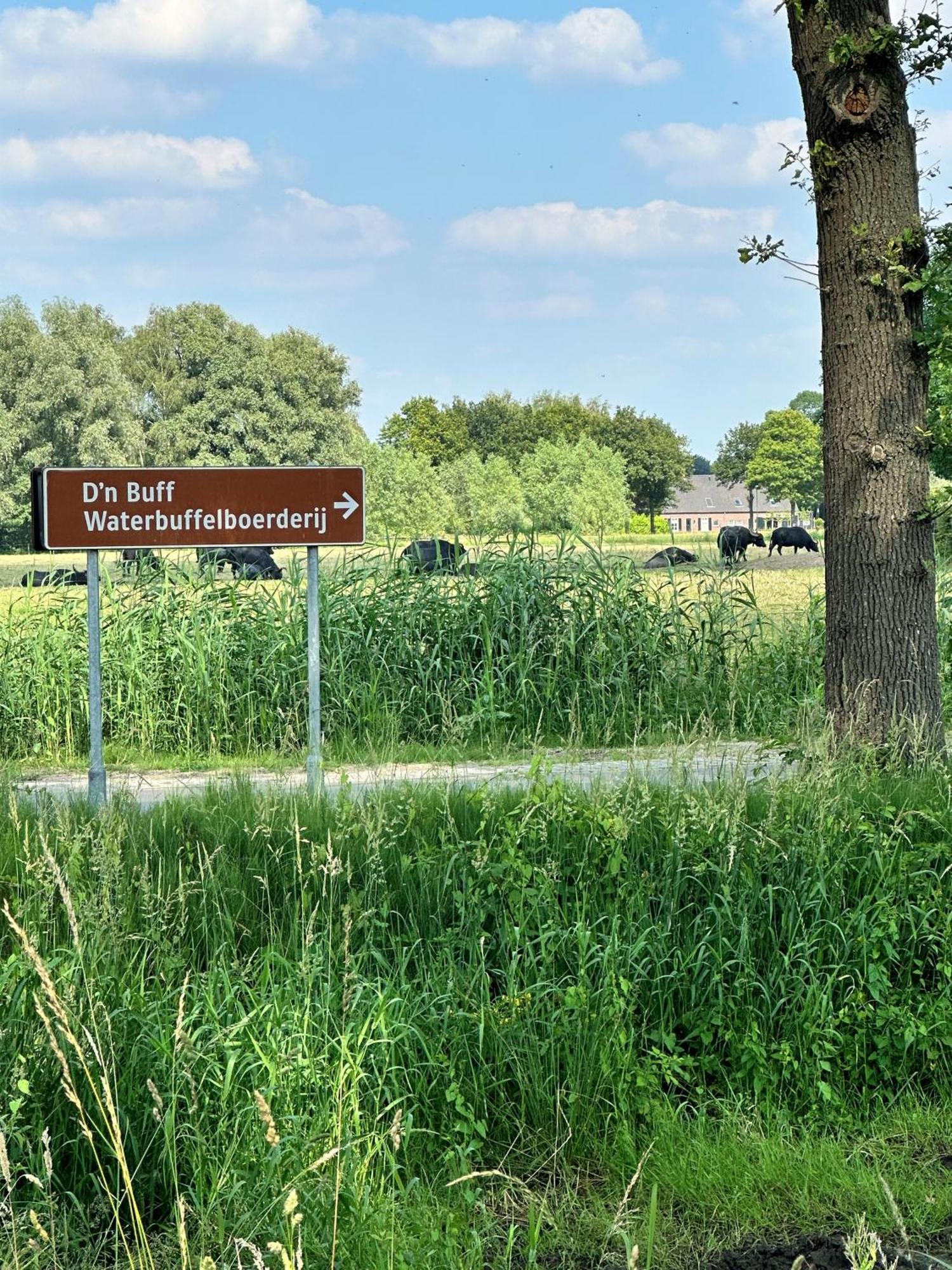 Gasterij Hotel Dennenoord Boxtel Dış mekan fotoğraf